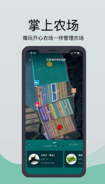 神农口袋直装版图2