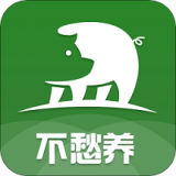 不愁养猪安卓免费版