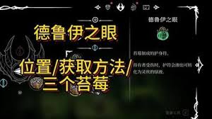 空洞骑士丝之歌里德鲁伊之眼护符的获取方法是什么