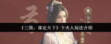 三国谋定天下里卞夫人的玩法攻略