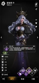 地下城堡4里王国骑士的技能该怎么了解