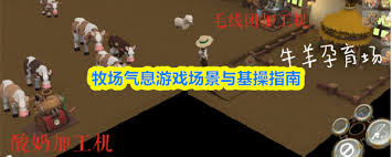 牧场风味水果汁沙拉布丁冰淇淋的菜谱都有哪些呢