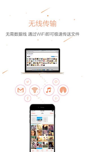 猫咪看片直装版图4