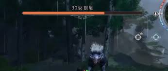 荒原曙光里银鬓的具体位置是哪里呢