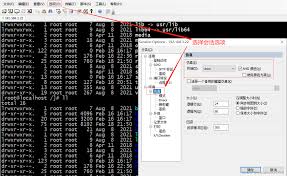 SecureCRT中如何配置黑色界面搭配白色字体