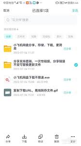 小飞机网盘应用怎样把链接分享给好友