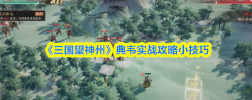 三国望神州典韦的实战玩法技巧