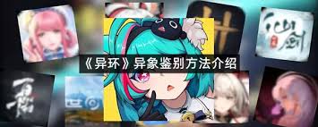 异环的鉴别等级是怎样判定的
