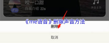 怎样清除me语音的声音