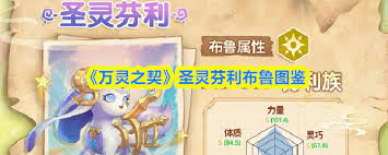 万灵之契里梦魇布鲁的图鉴具体指什么呢