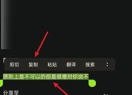 文小言复制文字的方法是什么