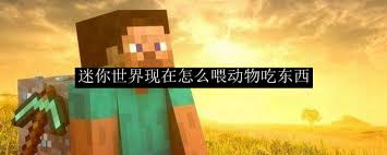迷你世界新版本里动物之间该怎么互动呢