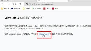 怎样让Edge浏览器显示内联释义