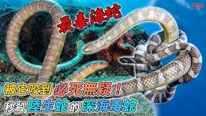 海蛇具备鳃这种呼吸器官吗？