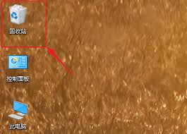 被promovie删除的视频要怎么恢复呢