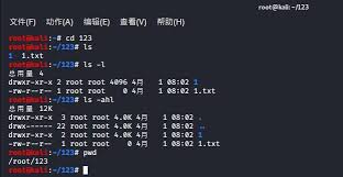 在Linux系统中怎样查看shadow密码