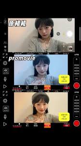 怎样下载promovie里的视频