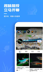 在鲲天下平台上，用户要怎样操作才能把自己发布的作品删除掉呢？
