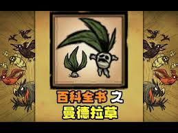 饥荒里的曼德拉草具体有哪些用途呢
