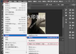 在gif制作器里怎样给动图添加文字呢