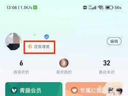 青藤之恋隐藏在线状态的方法是什么
