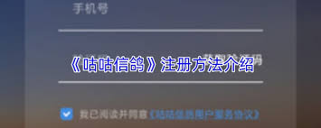 咕咕信鸽的注册流程是怎样的