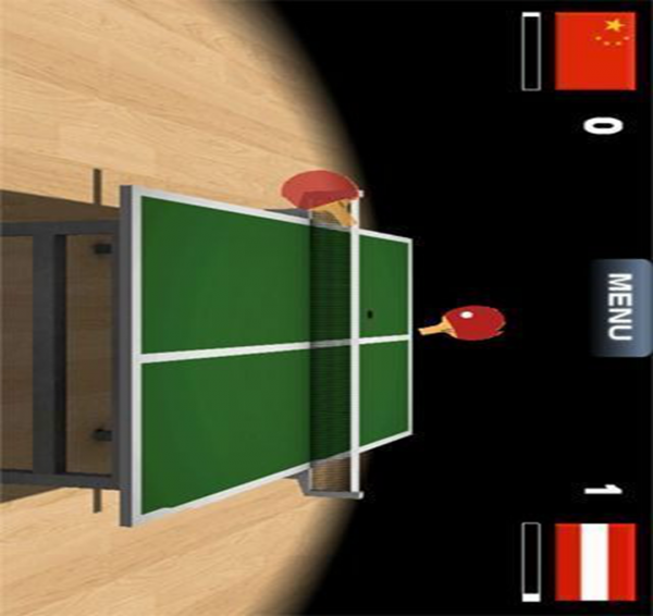 Virtual Table Tennis(4)