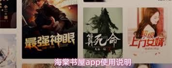 海棠书屋app的书籍阅读方法是什么