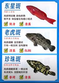 以下是修改后的3个新文本：