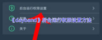 dayband后台权限的设置方法是怎样的