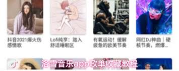 洛雪音乐app里收藏歌单的操作步骤是怎样的