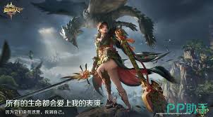怪物猎人旅人技能搭配有哪些技巧
