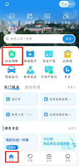 市民e家上怎么查询养老保险的明细呢