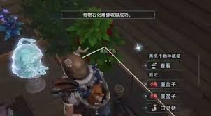 荒原曙光该如何收容那些石化雕像呢