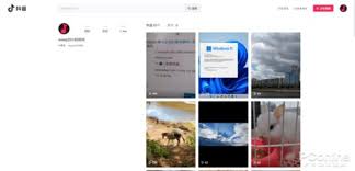 怎样在抖音网页版中免登录进入游客模式[图]