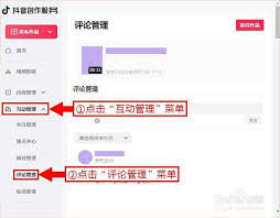 在抖音网页版上，评论入口在哪里可以找到呢