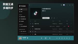 怎样才能访问汽水音乐的官方网站