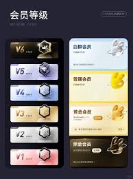 艾米直播软件的VIP等级该怎么介绍呢