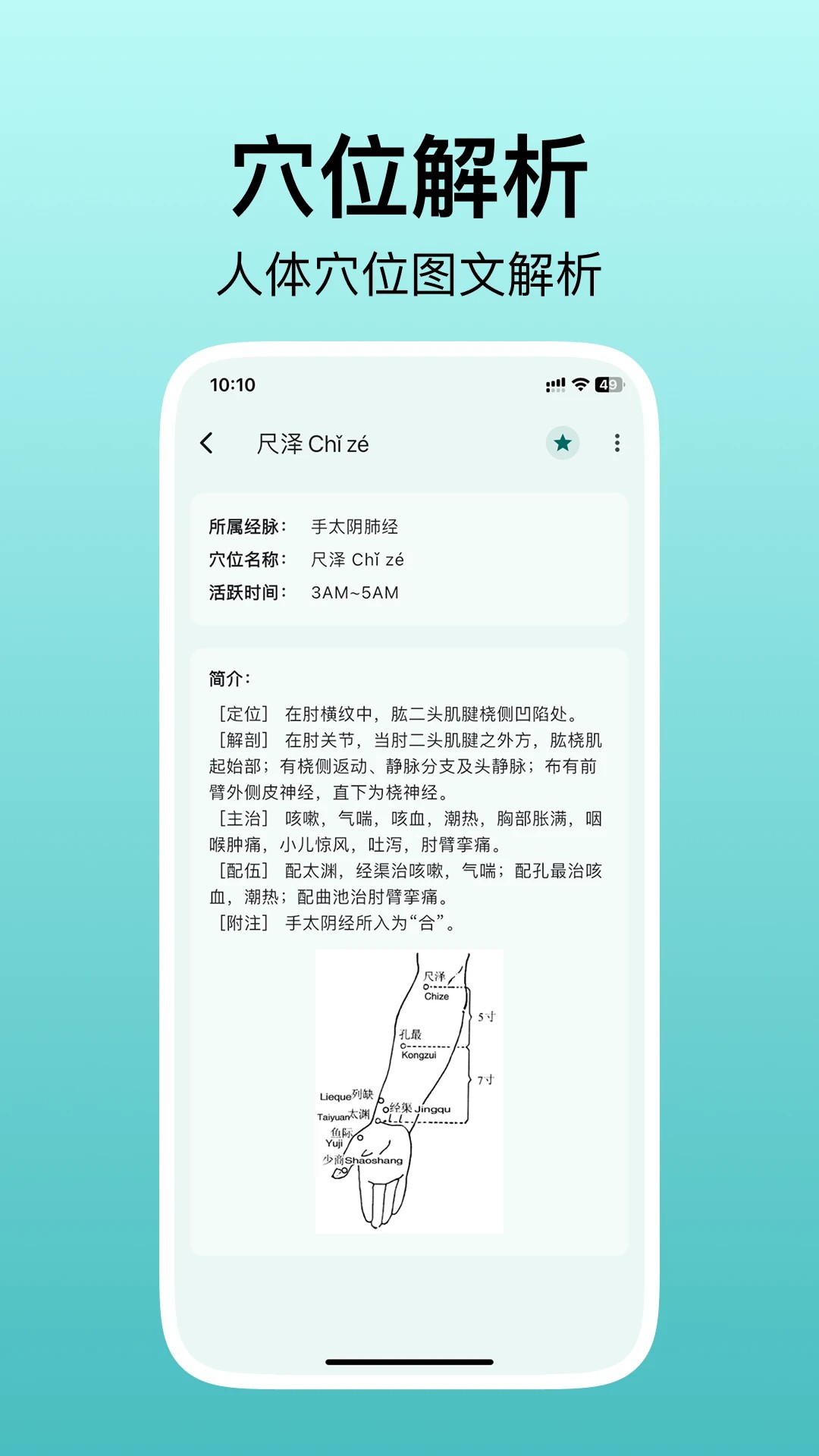人体穴位图解图2