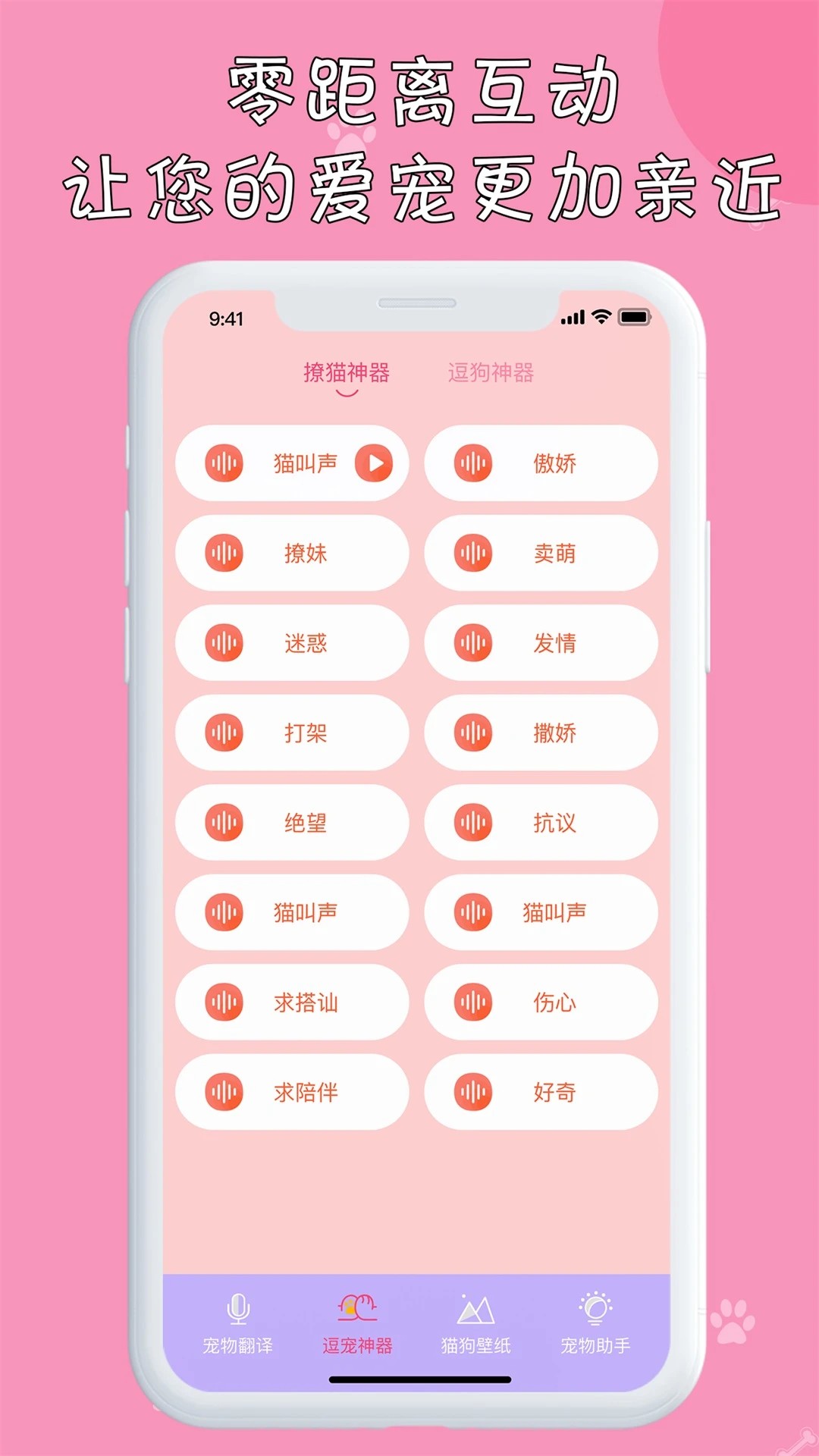 小猫安卓直装版图3