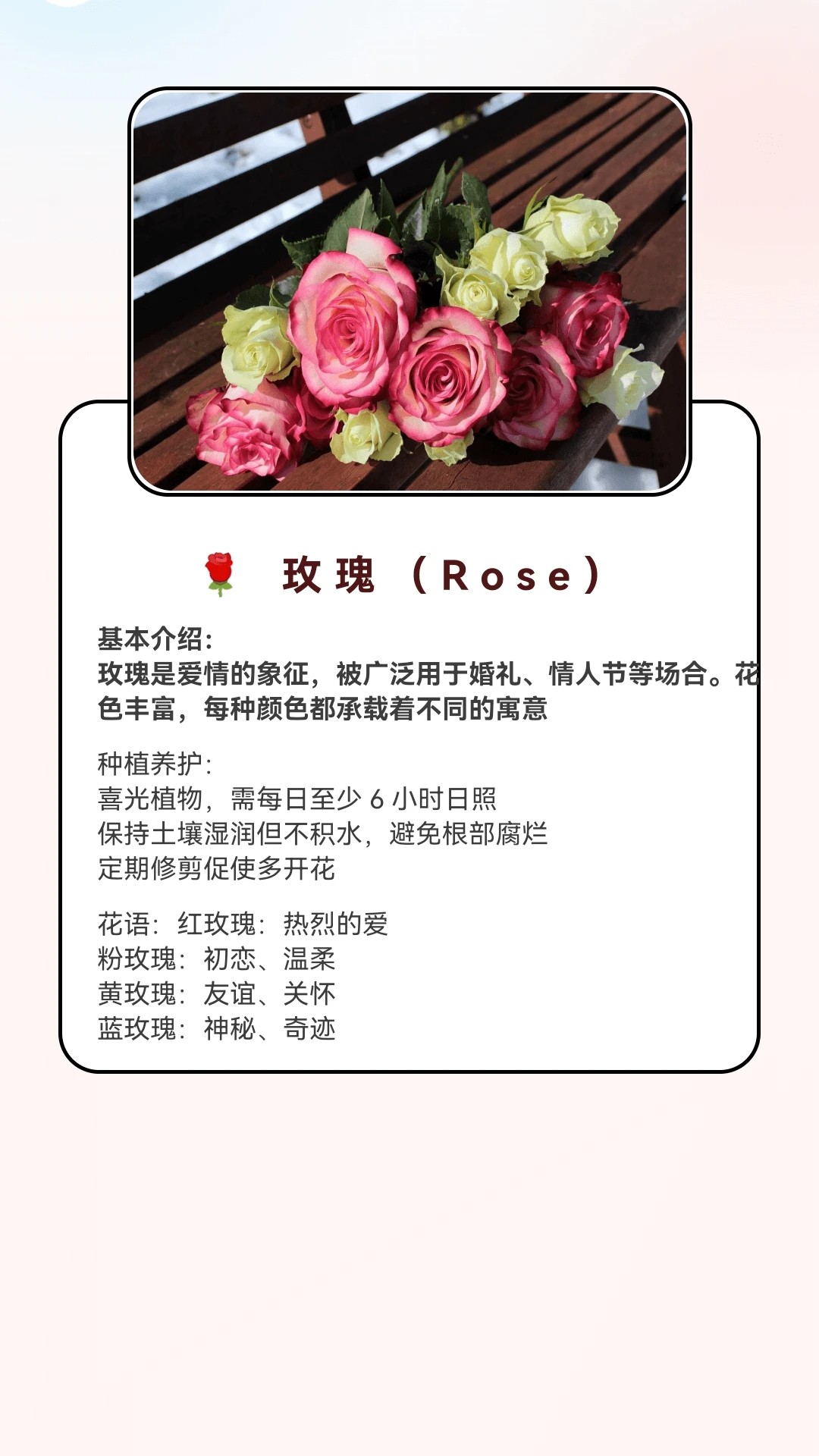 月光短剧无会员图1