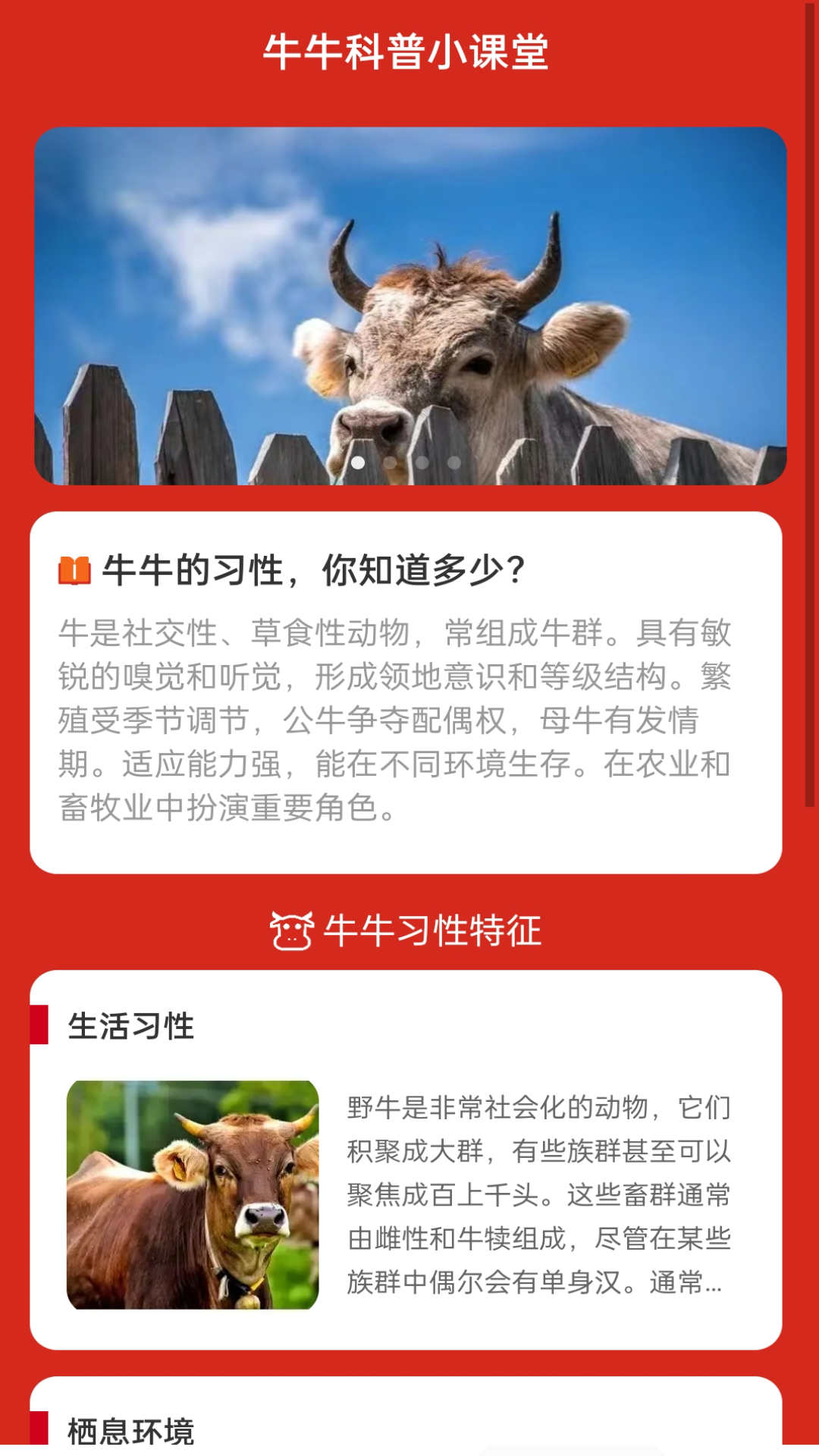 牛气WiFi安卓直装版图1