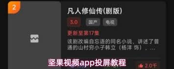 怎样在坚果视频app里设置中文字幕