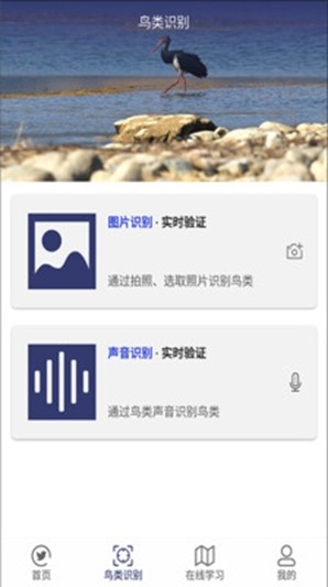 图音识鸟官方最新版图1