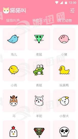 猫猫叫