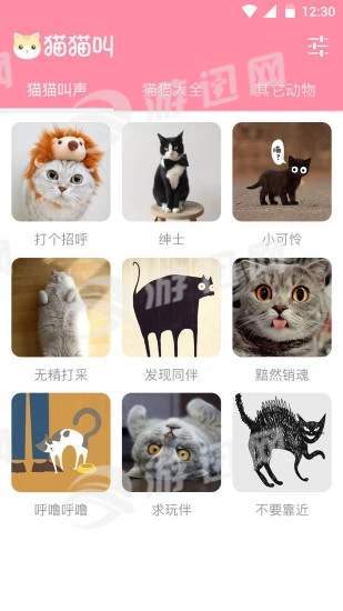 猫猫叫