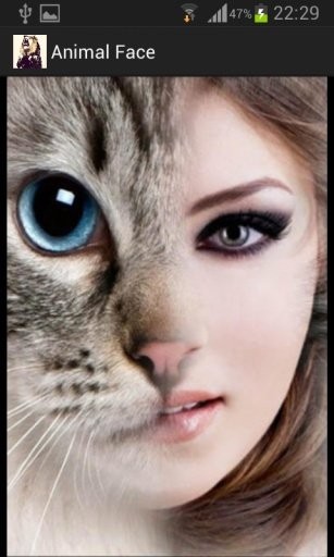AnimalFace安卓直装版图2