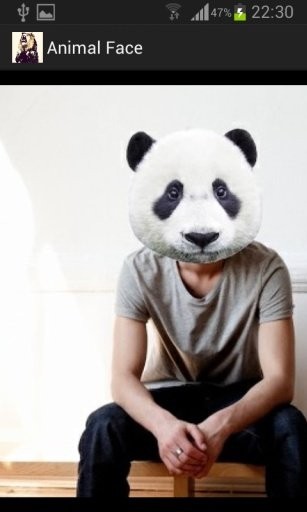 AnimalFace安卓直装版图1