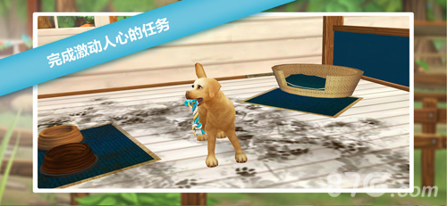 猫舍