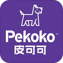 皮可可打印机